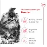 غذای خشک بچه گربه پرشین رویال کنین