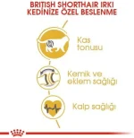 Royal Canin British Shorthair Adult Wet Food