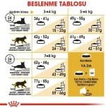 Royal Canin British Shorthair Adult Wet Food