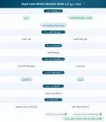 پوچ گربه بالغ بریتیش شورت‌هیر رویال کنین