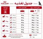 غذای گربه رویال کنین فیت گربه