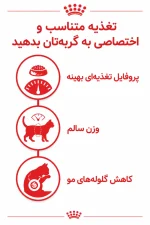 غذای گربه رویال کنین فیت گربه