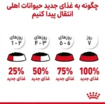 پوچ گربه رویال کنین هیر اند اسکین