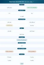 غذای خشک گربه رویال کنین هیر اند
