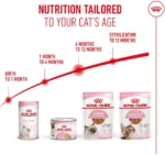 Royal Canin Kitten Chunks