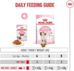 Royal Canin Kitten Chunks
