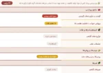 پوچ گربه بالغ پرشین رویال کنین