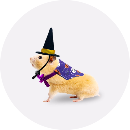Rodents' clothes